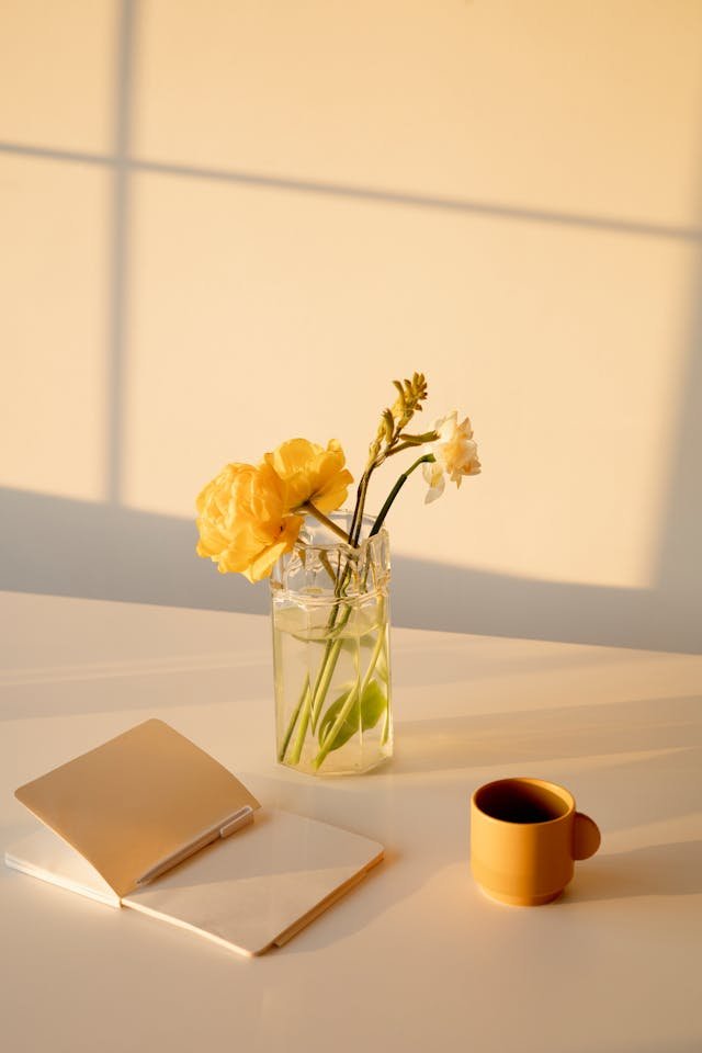 June Journal Prompts: Spark Creativity and Reflection
