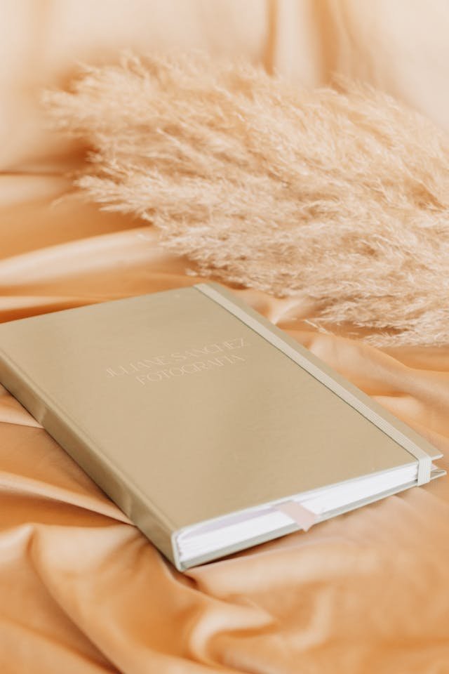February Journal Prompts: Ignite Your Creative Spark